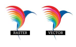 Diferencias de resultados de vectorización de un logo