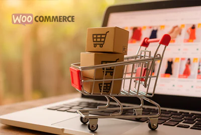Tienda online estándar